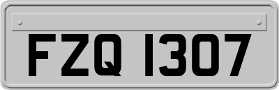 FZQ1307