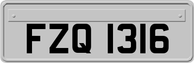 FZQ1316