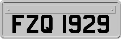 FZQ1929