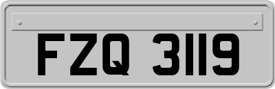 FZQ3119