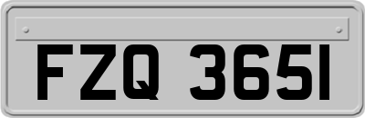 FZQ3651