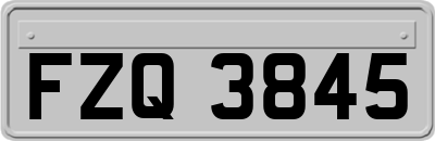 FZQ3845