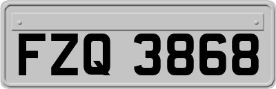 FZQ3868