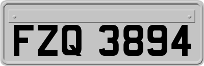 FZQ3894