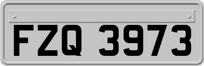 FZQ3973