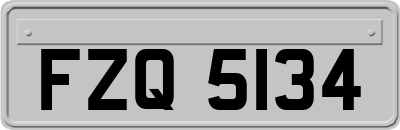 FZQ5134