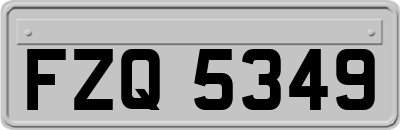 FZQ5349