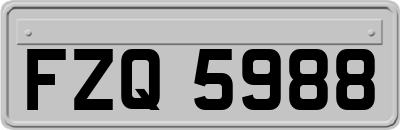 FZQ5988