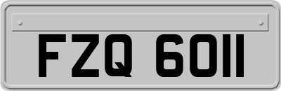 FZQ6011