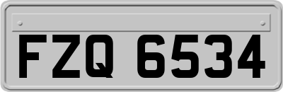 FZQ6534