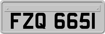 FZQ6651