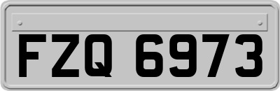 FZQ6973