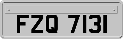 FZQ7131