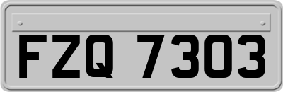 FZQ7303
