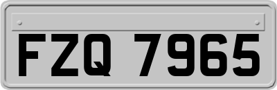 FZQ7965