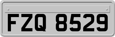 FZQ8529