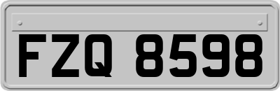 FZQ8598