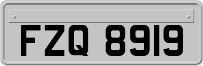 FZQ8919