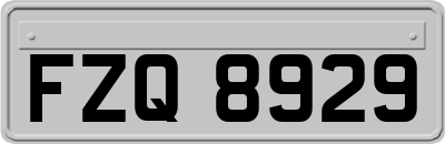 FZQ8929
