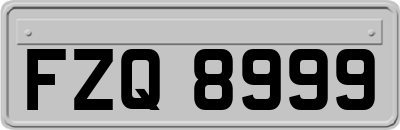 FZQ8999