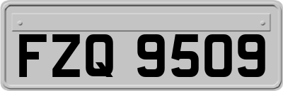 FZQ9509
