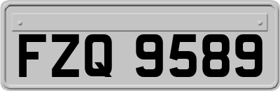 FZQ9589