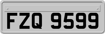 FZQ9599