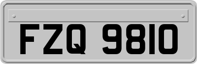 FZQ9810