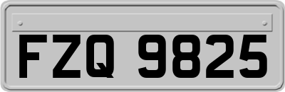 FZQ9825