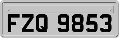 FZQ9853