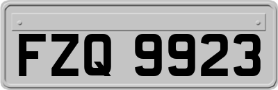 FZQ9923