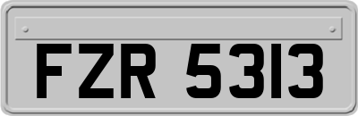FZR5313