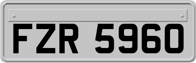 FZR5960