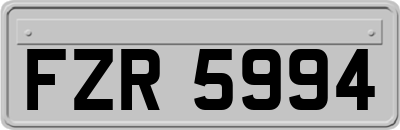 FZR5994