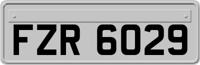 FZR6029