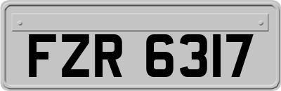 FZR6317