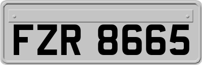 FZR8665