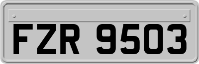 FZR9503