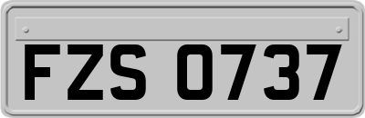 FZS0737