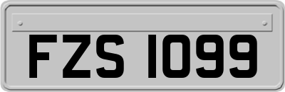 FZS1099