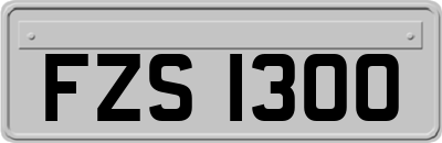 FZS1300
