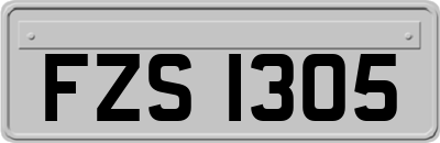 FZS1305