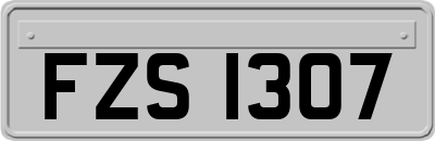 FZS1307