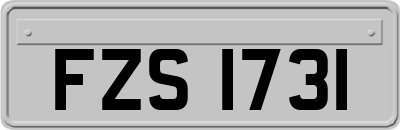 FZS1731