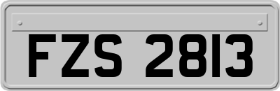 FZS2813