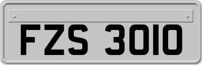 FZS3010