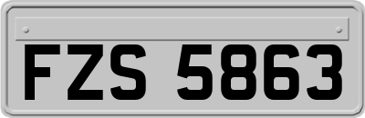 FZS5863