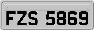 FZS5869