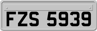 FZS5939