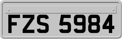 FZS5984
